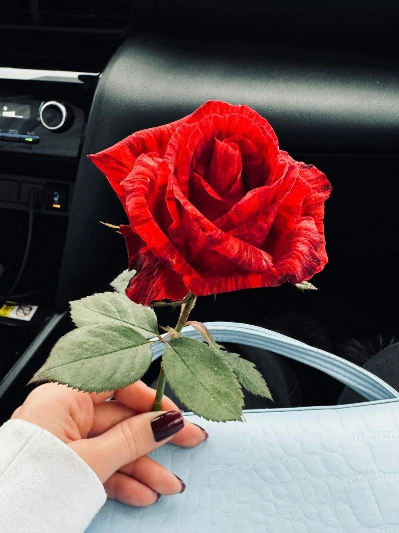 Innovatech GmbH - Image 5